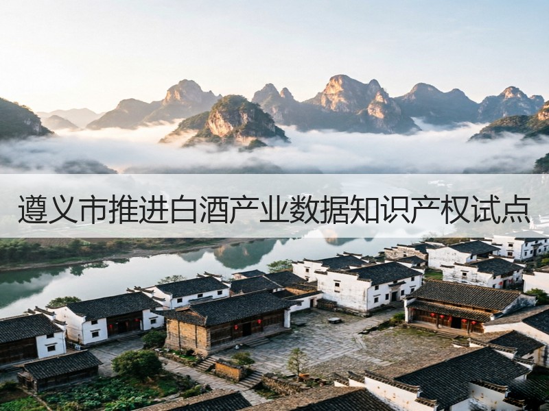 遵义市推进白酒产业数据知识产权试点