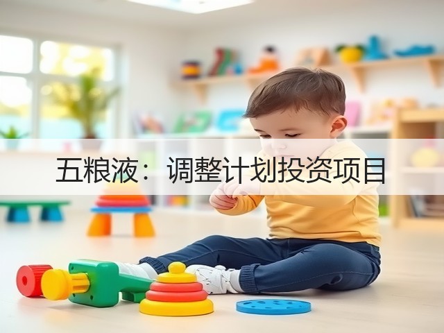 五粮液：调整计划投资项目(图5)