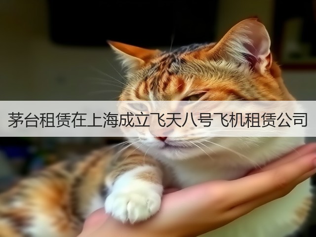 茅台租赁在上海成立飞天八号飞机租赁公司(图4)