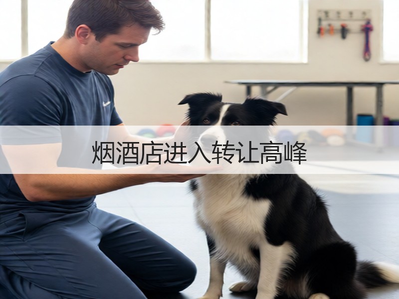 烟酒店进入转让高峰
