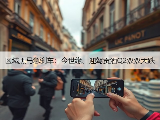 区域黑马急刹车：今世缘、迎驾贡酒Q2双双大跌(图2)
