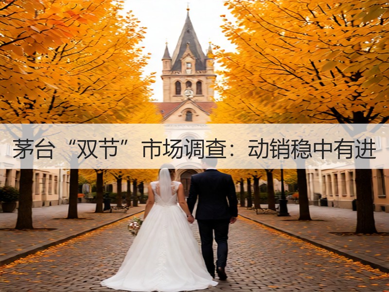 茅台“双节”市场调查：动销稳中有进