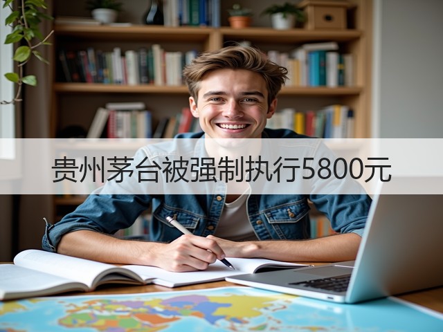 贵州茅台被强制执行5800元(图2)
