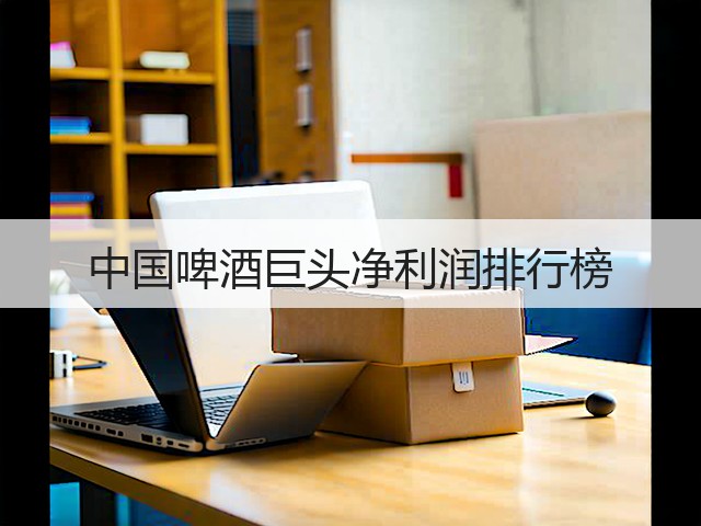 中国啤酒巨头净利润排行榜(图2)
