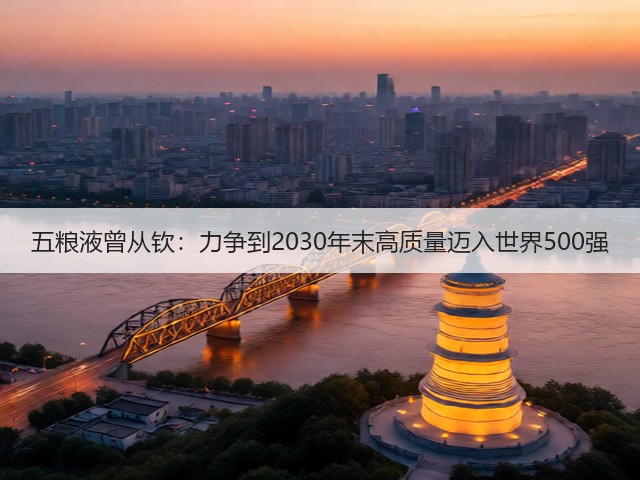五粮液曾从钦：力争到2030年末高质量迈入世界500强(图1)
