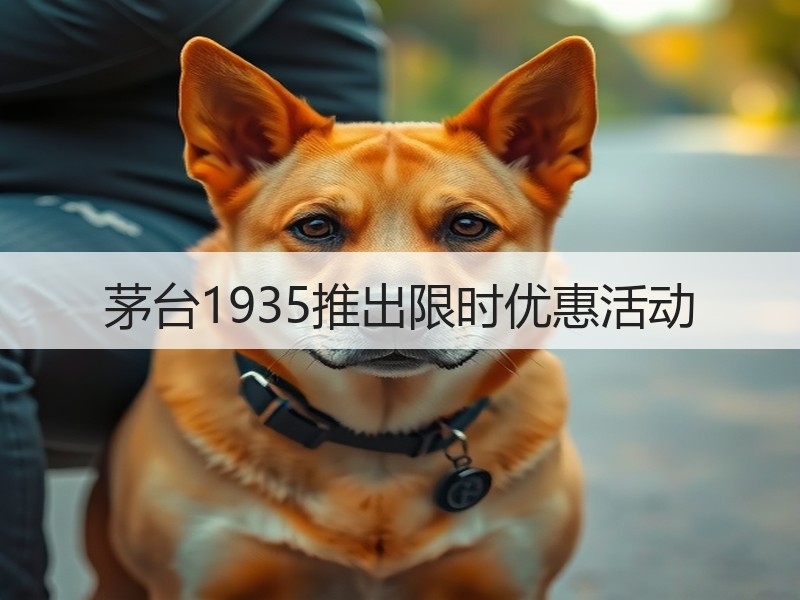 茅台1935推出限时优惠活动