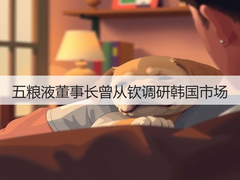 五粮液董事长曾从钦调研韩国市场