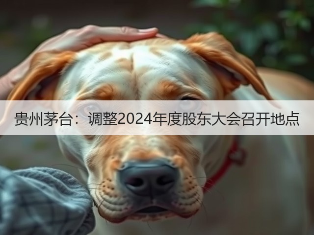 贵州茅台：调整2024年度股东大会召开地点(图4)