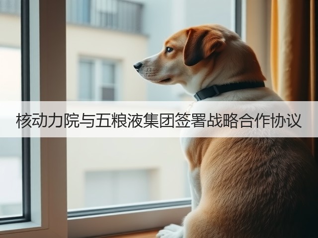 核动力院与五粮液集团签署战略合作协议(图1)