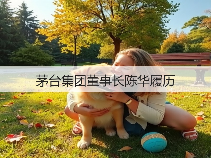 茅台集团董事长陈华履历