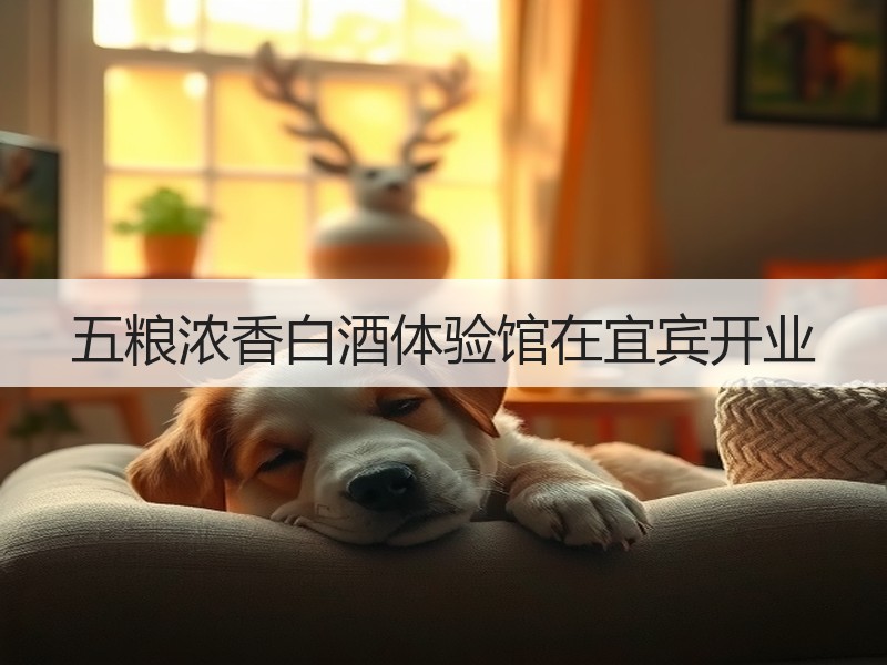 五粮浓香白酒体验馆在宜宾开业
