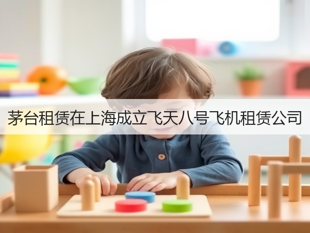 茅台租赁在上海成立飞天八号飞机租赁公司(图5)