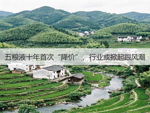 五粮液十年首次“降价”，行业或掀起跟风潮(图3)