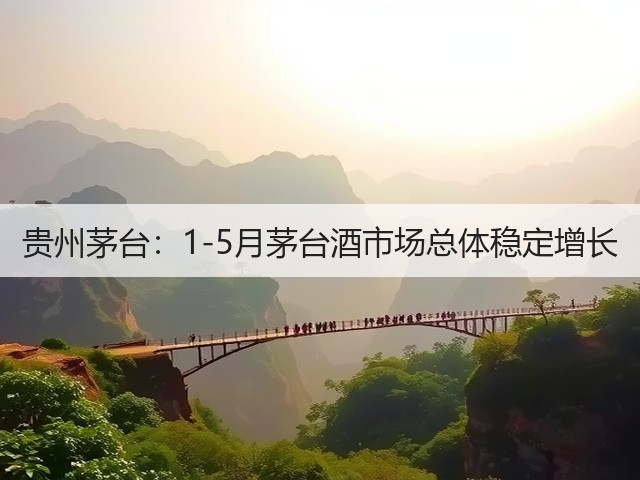 贵州茅台：1-5月茅台酒市场总体稳定增长(图5)