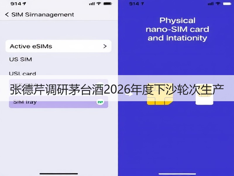张德芹调研茅台酒2026年度下沙轮次生产