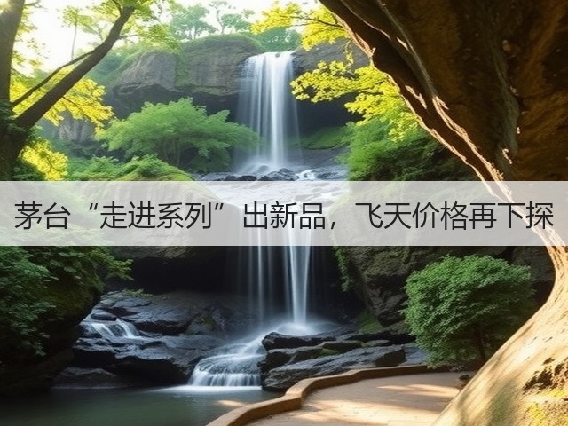茅台“走进系列”出新品，飞天价格再下探(图3)