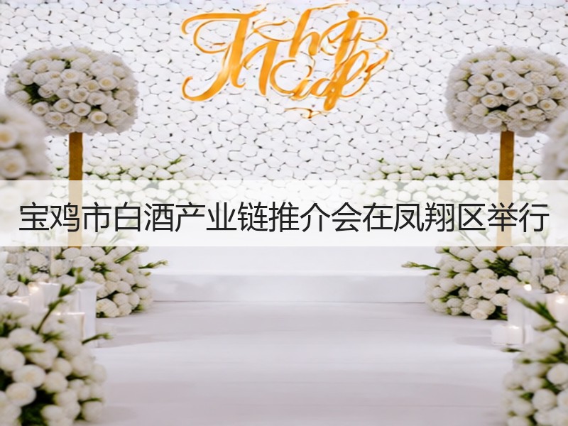 宝鸡市白酒产业链推介会在凤翔区举行