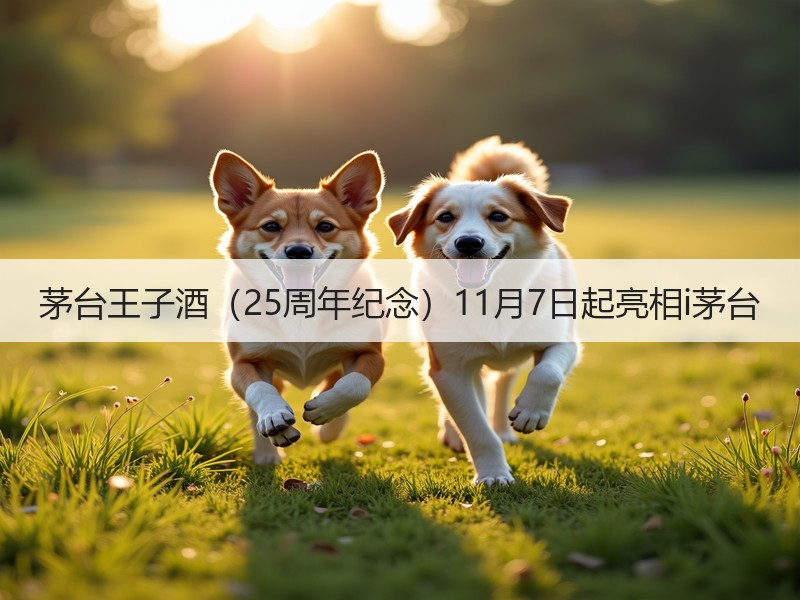 茅台王子酒（25周年纪念）11月7日起亮