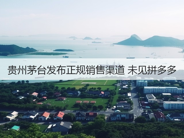 贵州茅台发布正规销售渠道 未见拼多多(图5)