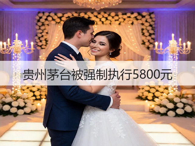 贵州茅台被强制执行5800元(图5)