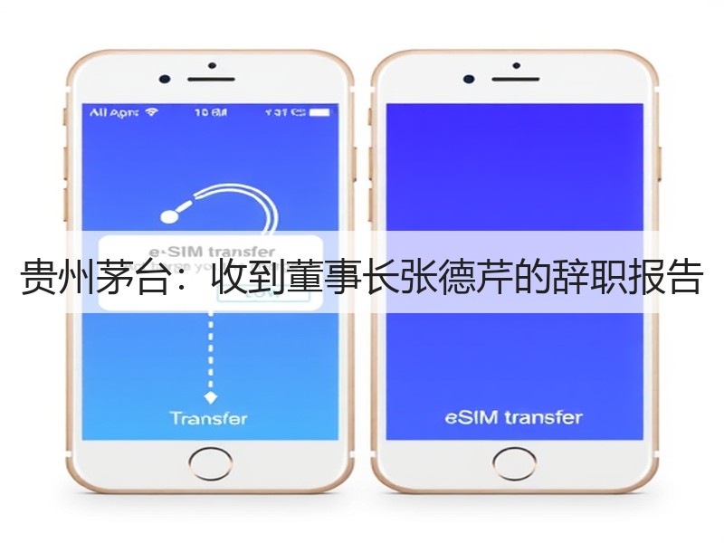 贵州茅台：收到董事长张德芹的辞职报告
