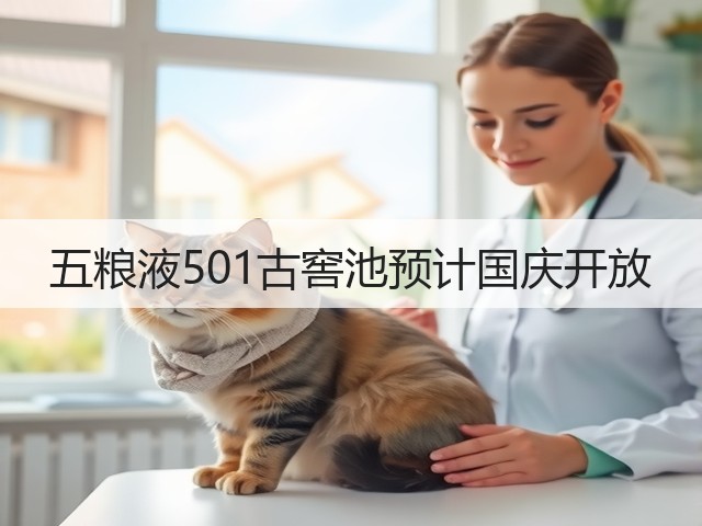 五粮液501古窖池预计国庆开放(图2)
