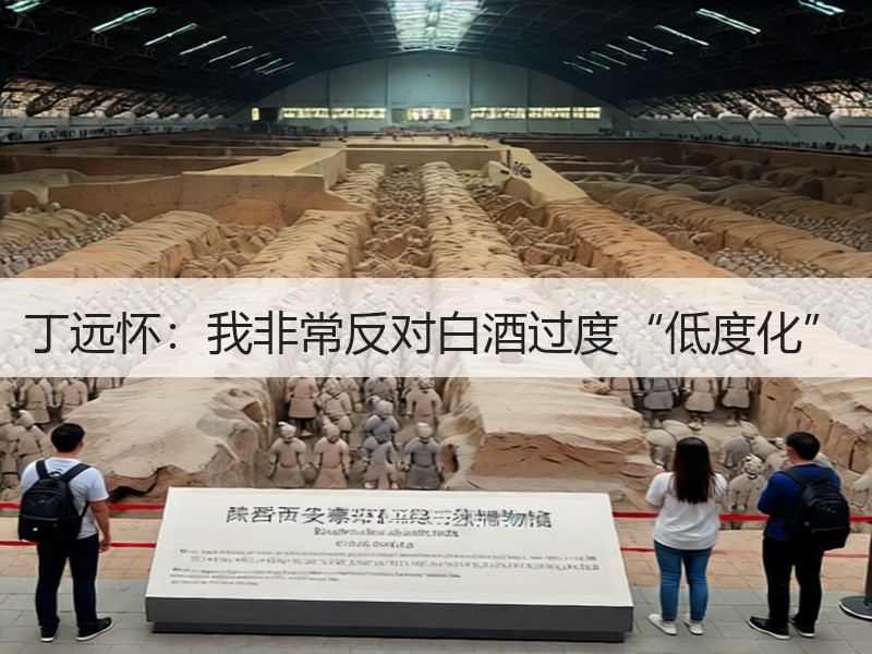 丁远怀：我非常反对白酒过度“低度化”