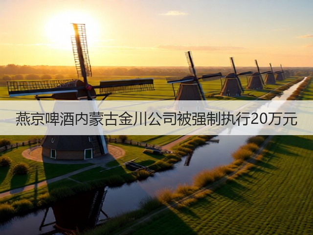 燕京啤酒内蒙古金川公司被强制执行20万元(图1)