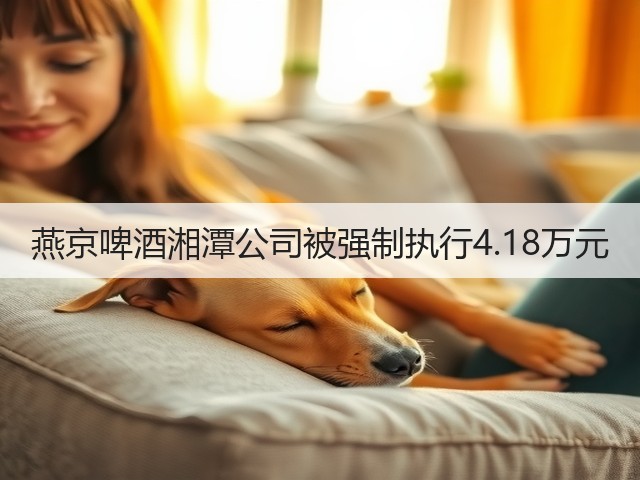 燕京啤酒湘潭公司被强制执行4.18万元(图1)