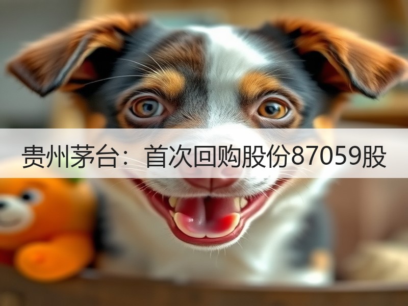 贵州茅台：首次回购股份87059股