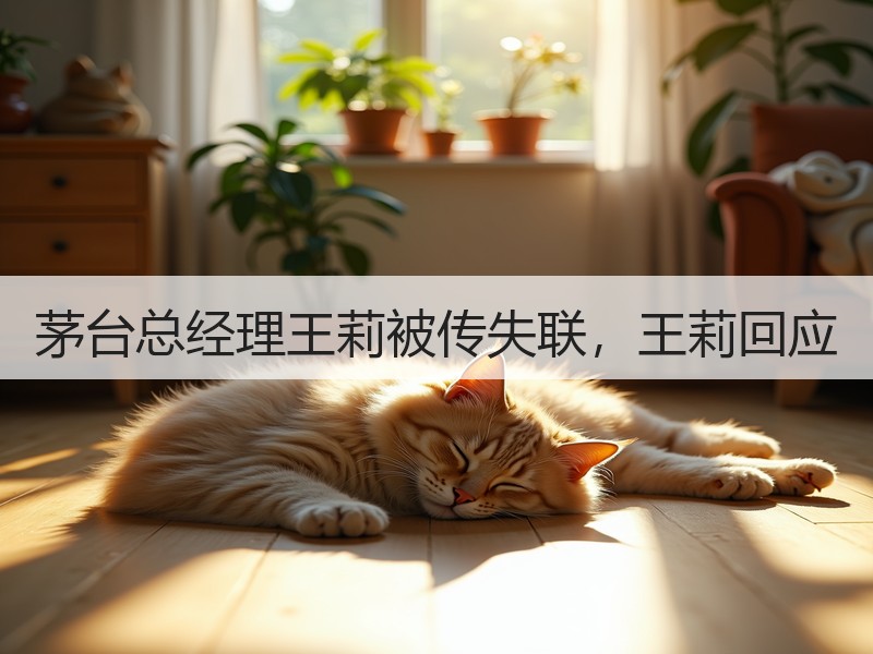 茅台总经理王莉被传失联，王莉回应