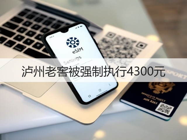 泸州老窖被强制执行4300元(图2)