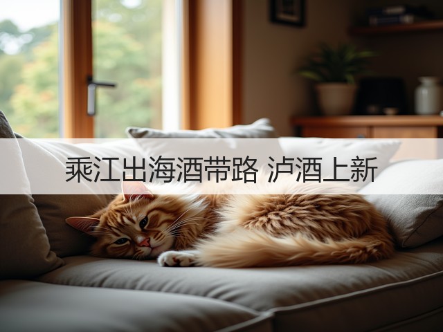 乘江出海酒带路 泸酒上新(图3)