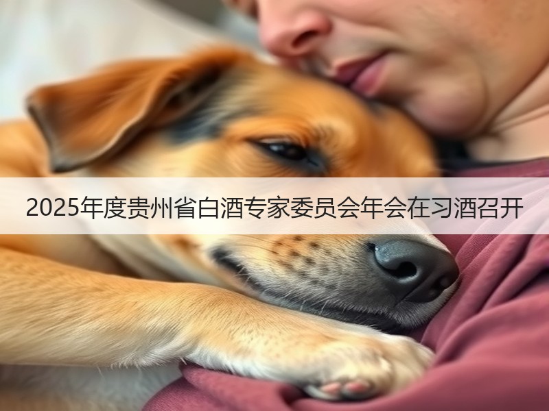2025年度贵州省白酒专家委员会年会在习