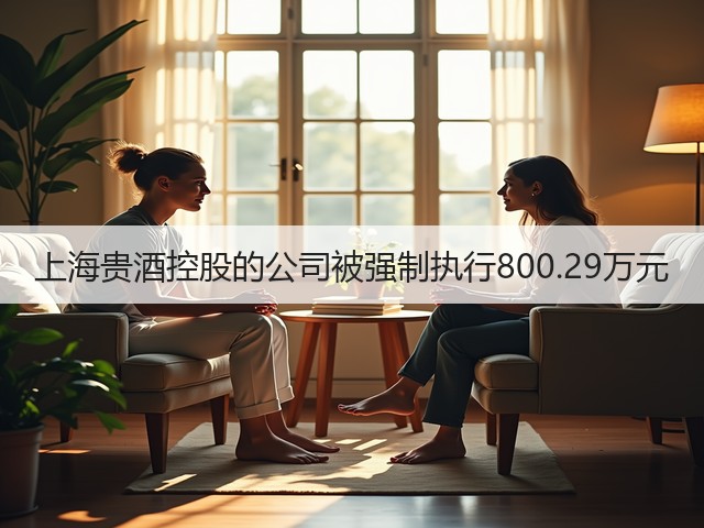 上海贵酒控股的公司被强制执行800.29万元(图5)