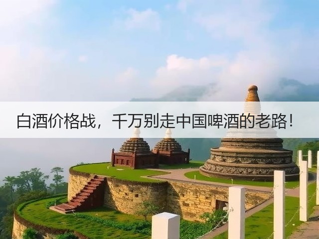 白酒价格战，千万别走中国啤酒的老路！(图2)