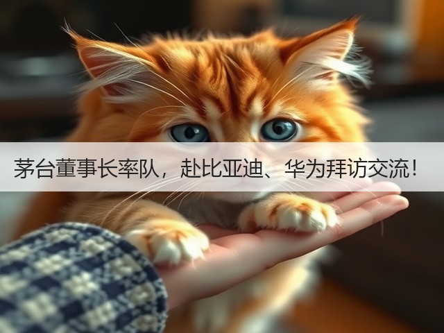 茅台董事长率队，赴比亚迪、华为拜访交流！(图1)