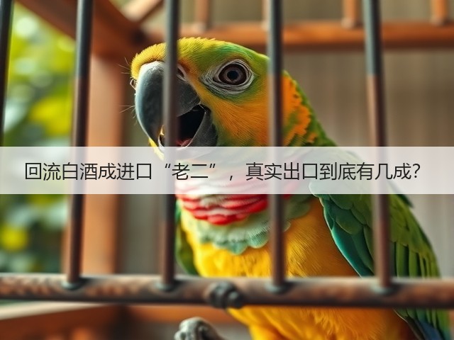 回流白酒成进口“老二”，真实出口到底有几成？(图3)