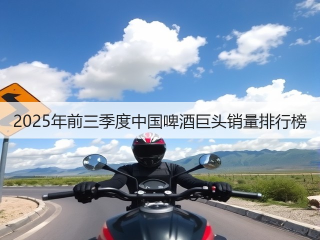 2025年前三季度中国啤酒巨头销量排行榜(图5)
