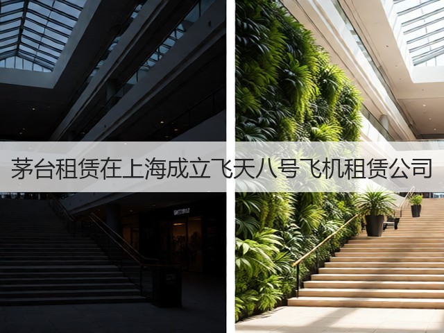 茅台租赁在上海成立飞天八号飞机租赁公司(图2)