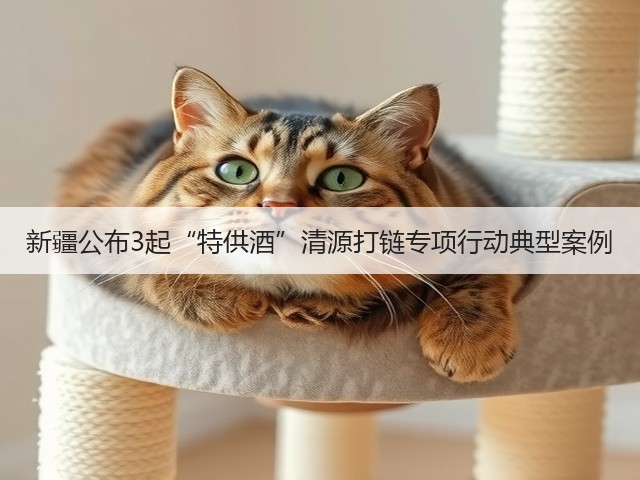 新疆公布3起“特供酒”清源打链专项行动典型案例(图4)