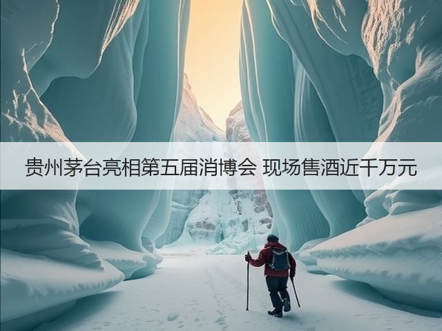 贵州茅台亮相第五届消博会 现场售酒近千万元(图5)