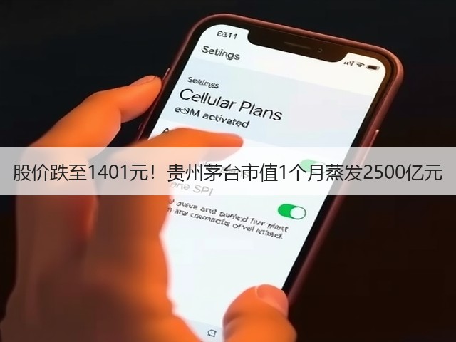 股价跌至1401元！贵州茅台市值1个月蒸发2500亿元(图5)