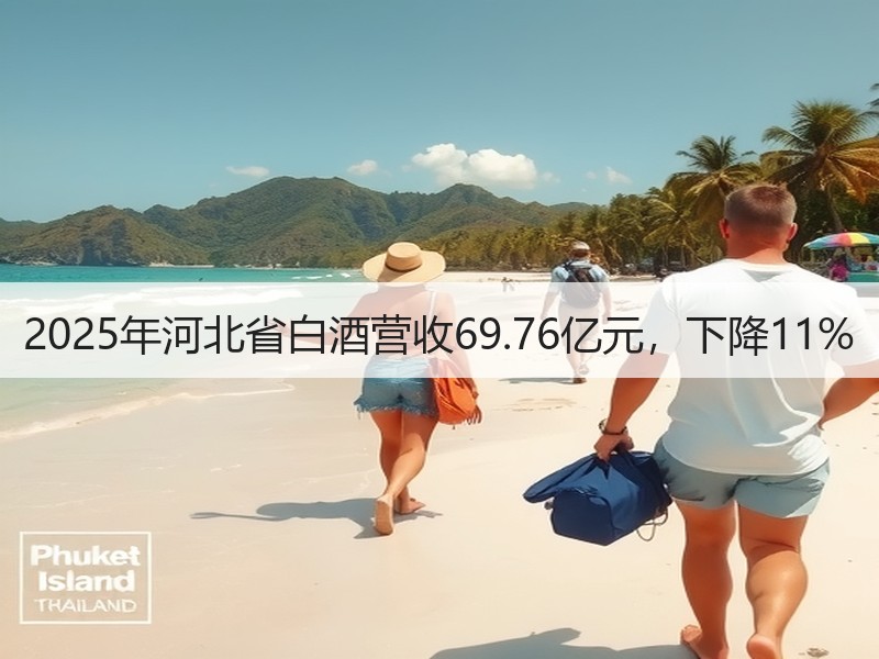 2025年河北省白酒营收69.76亿元，