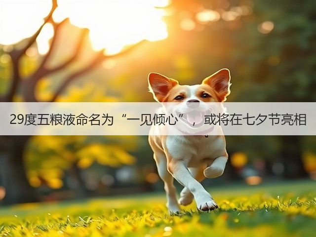 29度五粮液命名为“一见倾心”，或将在七夕节亮相(图4)
