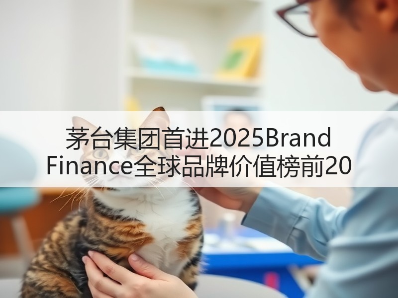 茅台集团首进2025Brand Fina