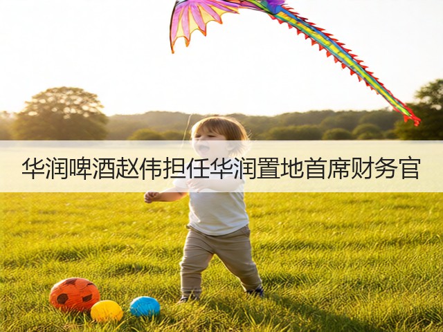 华润啤酒赵伟担任华润置地首席财务官(图3) 华润啤酒赵伟担任华润置地首席财务官(图3)