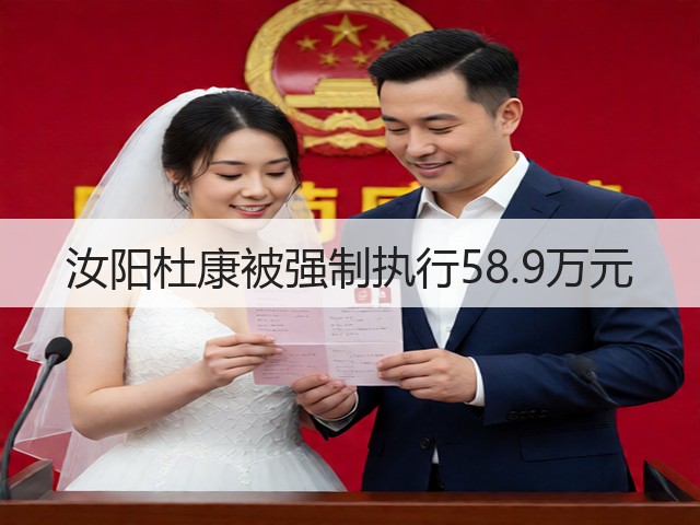 汝阳杜康被强制执行58.9万元(图1)