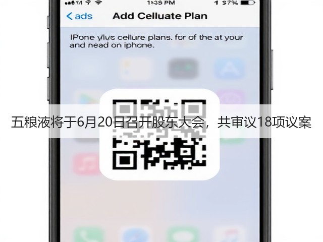 五粮液将于6月20日召开股东大会，共审议18项议案(图4)