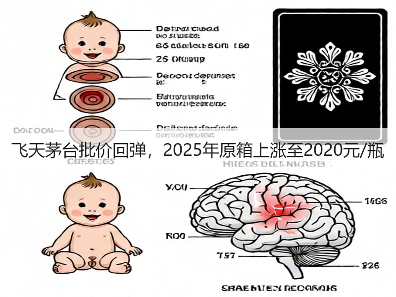 飞天茅台批价回弹，2025年原箱上涨至2